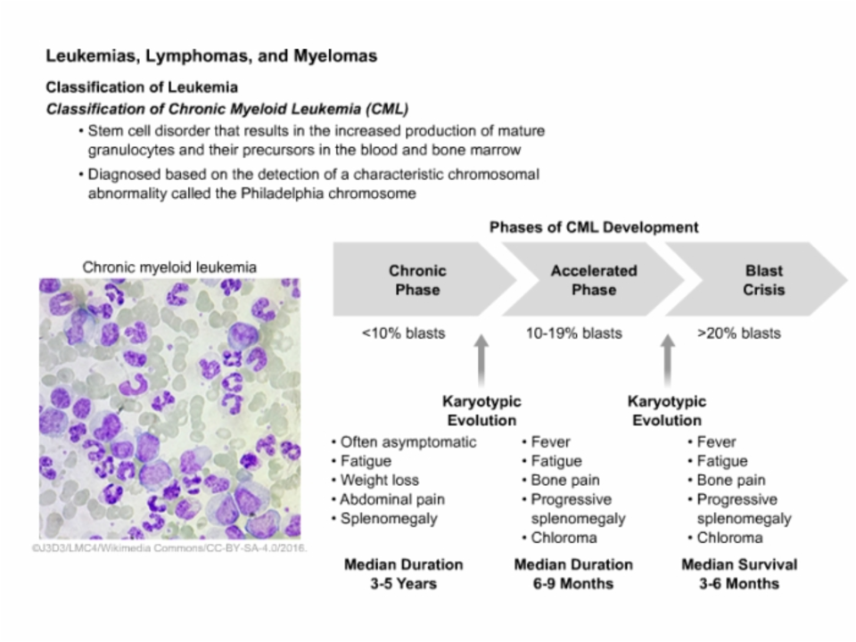 Chronic Lymphocytic Leukemia and Mental Health: The Connection and How to Cope
